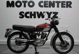 Occasion Triumph Street Cup