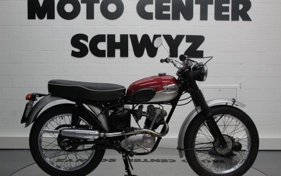 Motorrad Occasion Triumph Street Cup - Bild 1