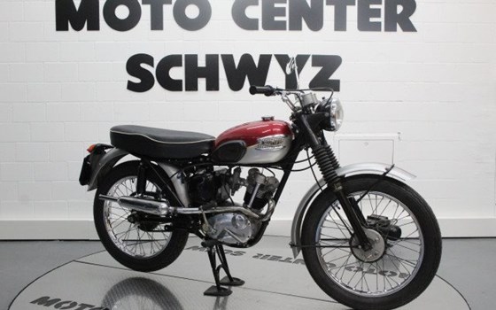 Motorrad Occasion Triumph Street Cup - Bild 2