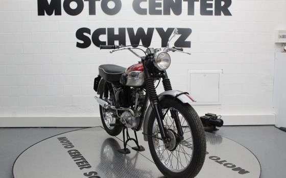 Motorrad Occasion Triumph Street Cup - Bild 3