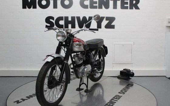 Motorrad Occasion Triumph Street Cup - Bild 4