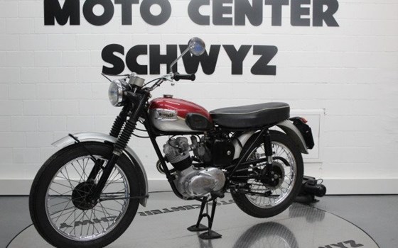 Motorrad Occasion Triumph Street Cup - Bild 5