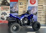 Angebot Yamaha YFM110R