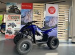 Angebot Yamaha YFM110R