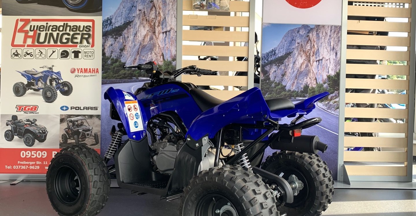 Angebot Yamaha YFM110R