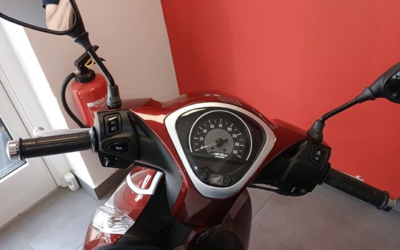 Neufahrzeug Honda SH125 - Bild 5