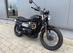 Angebot Triumph Scrambler 900