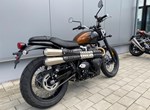 Angebot Triumph Scrambler 900