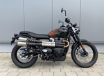 Angebot Triumph Scrambler 900