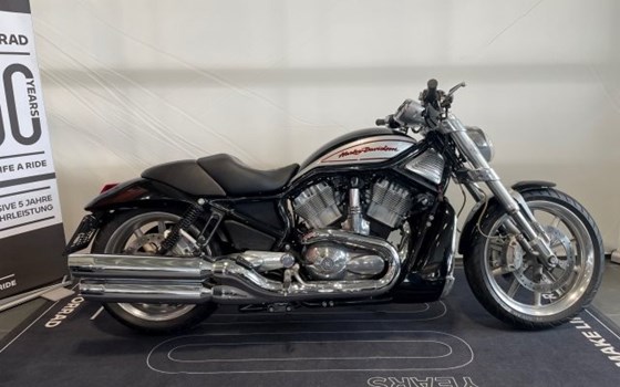 Gebrauchtmotorrad Harley-Davidson Street Rod - Bild 2 Gebrauchtmotorrad Harley-Davidson Street Rod - Bild 2