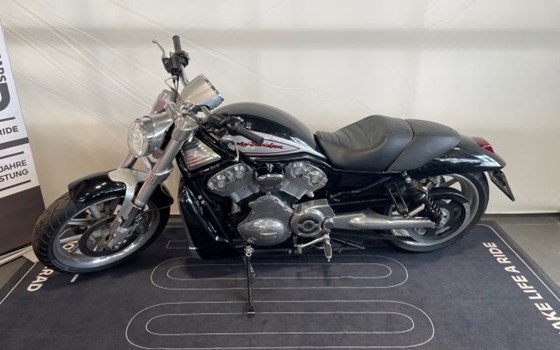 Gebrauchtmotorrad Harley-Davidson Street Rod - Bild 3 Gebrauchtmotorrad Harley-Davidson Street Rod - Bild 3