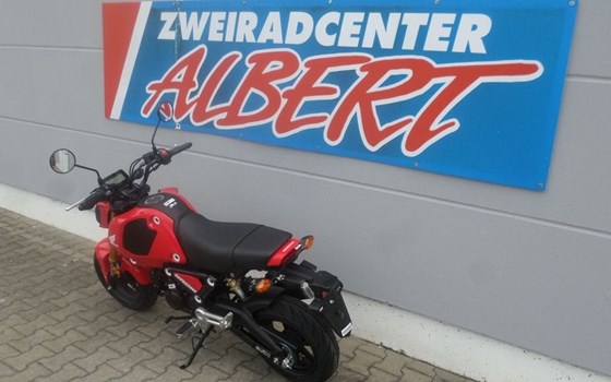 Neufahrzeug Honda MSX 125 - Bild 2