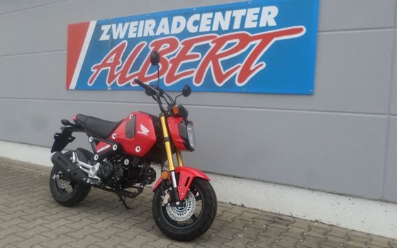 Neufahrzeug Honda MSX 125 - Bild 5