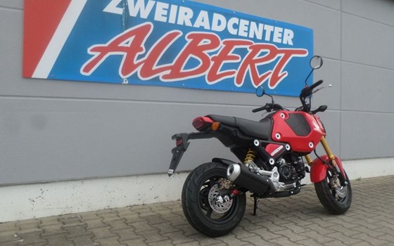 Neufahrzeug Honda MSX 125 - Bild 6