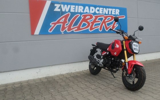 Neufahrzeug Honda MSX 125 - Bild 9