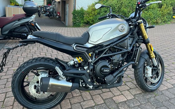 Neufahrzeug Benelli Leoncino 800 - Bild 1