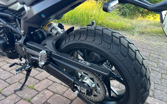 Neufahrzeug Benelli Leoncino 800 - Bild 2