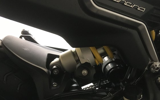 Neufahrzeug Benelli Leoncino 800 - Bild 7