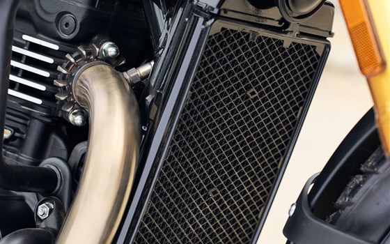 Neufahrzeug Triumph Scrambler 400 X - Bild 3