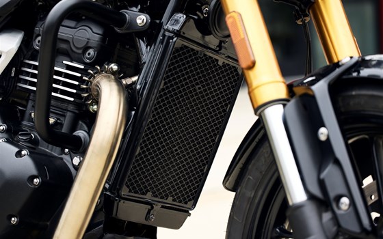 Neufahrzeug Triumph Speed 400 - Bild 2