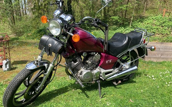 Gebrauchtmotorrad Yamaha XV 500 SE - Bild 1