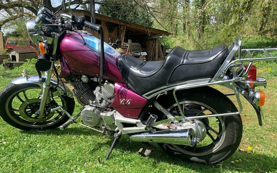 Gebrauchtmotorrad Yamaha XV 500 SE - Bild 17