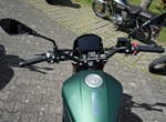 Angebot Benelli Leoncino 800 Trail