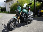 Angebot Benelli Leoncino 800 Trail