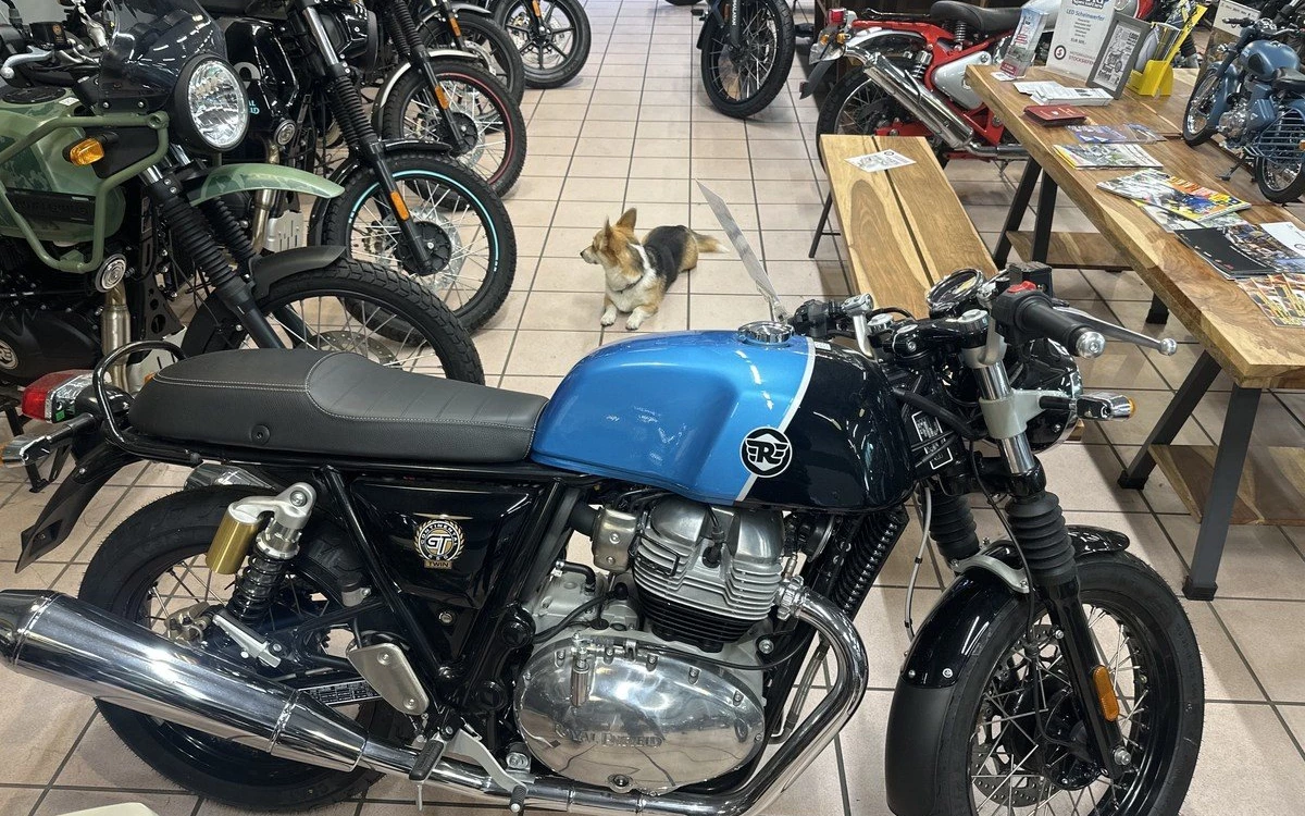 Zum Vergrößern bitte anklicken! Angebot Royal Enfield Continental GT 650