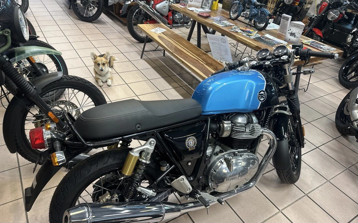 Zum Vergrößern bitte anklicken! Angebot Royal Enfield Continental GT 650