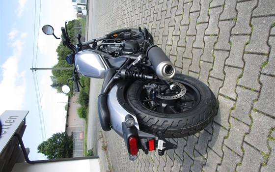 Neufahrzeug Honda CMX500 Rebel - Bild 3