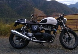 Gebrauchte Triumph Thruxton