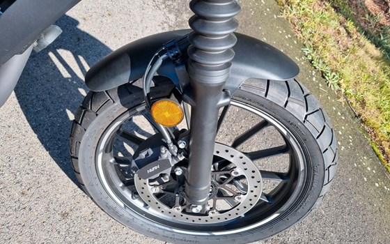 Neufahrzeug Honda CL500 - Bild 6