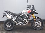 Angebot Triumph Tiger 900 Rally Pro