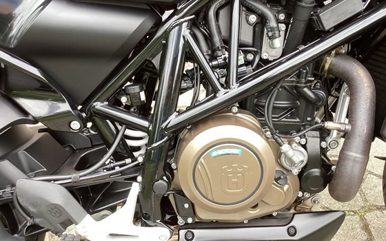 Gebrauchtmotorrad Husqvarna Svartpilen 701 - Bild 11