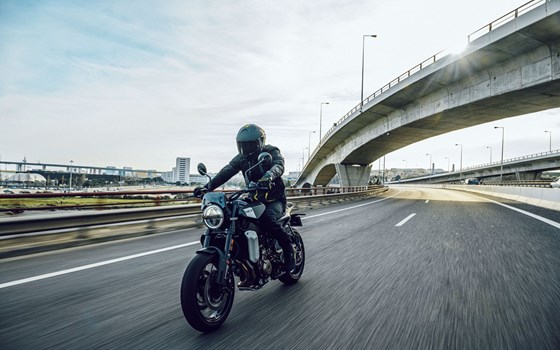 Gebrauchtmotorrad Husqvarna Svartpilen 801 - Bild 8