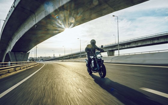 Gebrauchtmotorrad Husqvarna Svartpilen 801 - Bild 9