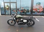 Angebot Triumph Scrambler 900