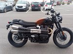 Angebot Triumph Scrambler 900