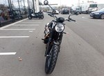 Angebot Triumph Scrambler 900