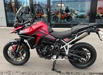 Angebot Triumph Tiger 900 GT Pro