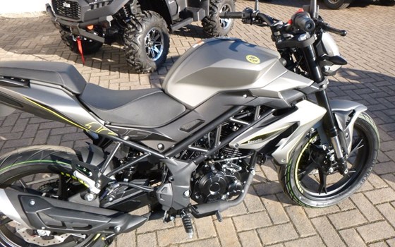 Neufahrzeug Benelli BN 125 - Bild 1