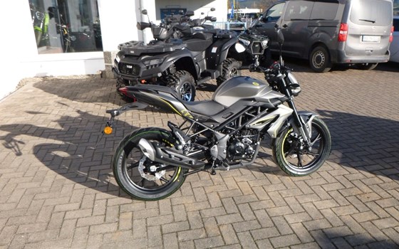 Neufahrzeug Benelli BN 125 - Bild 2