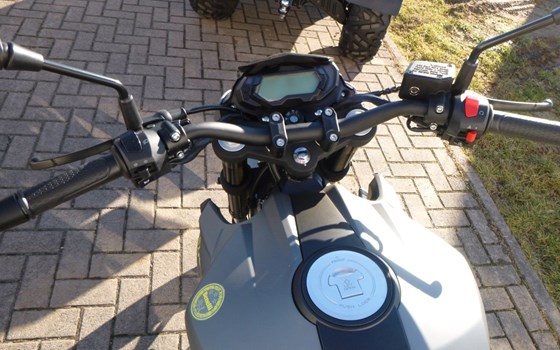 Neufahrzeug Benelli BN 125 - Bild 6