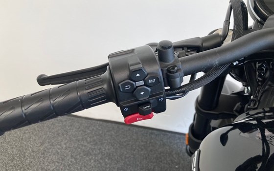 Neufahrzeug CFMOTO 450CL-C - Bild 16 Neufahrzeug CFMOTO 450CL-C - Bild 16