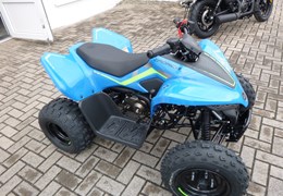 Neumotorrad CFMOTO CForce 110