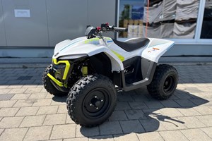 Angebot CFMOTO EV110