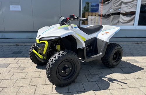 Neumotorrad CFMOTO EV110