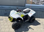 Angebot CFMOTO EV110