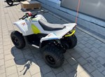 Angebot CFMOTO EV110